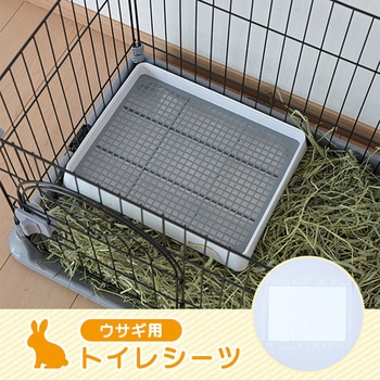 ウサギ用 トイレシーツ YAMAZEN(山善)