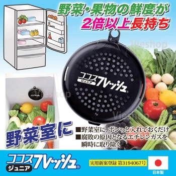 ココスフレッシュ(野菜の鮮度保持)ジュニア 後藤