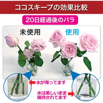 ココスキープ(切花延命材)12ヶ入 後藤