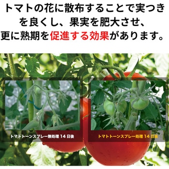 トマトトーンスプレー KINCHO園芸