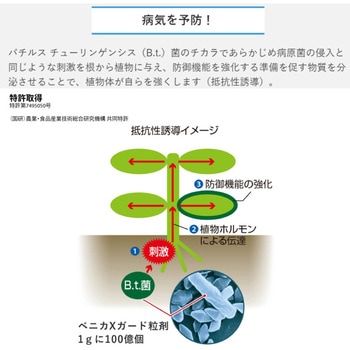 ベニカXガード粒剤 住友化学園芸