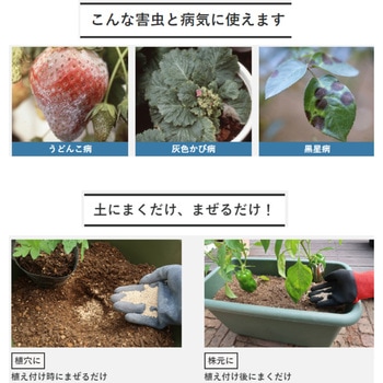 ベニカXガード粒剤 住友化学園芸
