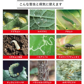 ベニカXガード粒剤 住友化学園芸