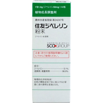 - Wxa ZFw 53274769
