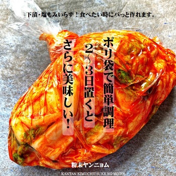 つけもと キムチ漬の素 100g つけもと