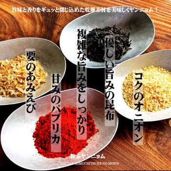 つけもと キムチ漬の素 100g つけもと