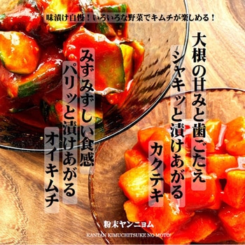 つけもと キムチ漬の素 100g つけもと