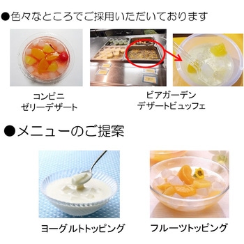 フジッコ 業務用 国内産ナタデココ 500g フジッコ