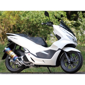 PURE SPORT  SV ゴールドエンブレム(チタンブルー) SP忠男