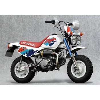 10060-MINIF MONKEY MINI TYPE-F(BAJAp) SPEC-A MINI TYPE-F CF }g[VO 53360004