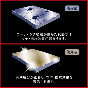 コーティング強化シャンプー PROSTAFF(プロスタッフ)