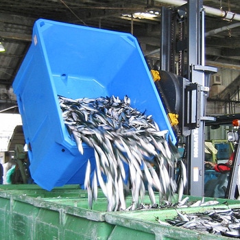 サエプラストコンテナ SI-1000 小浜製綱