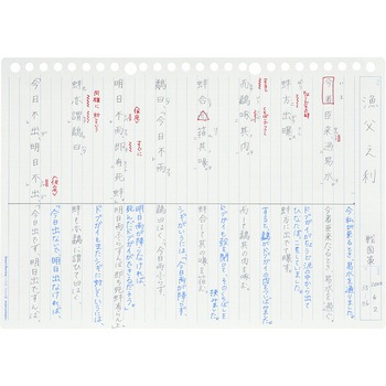 書きやすいルーズリーフ スマートレビュー マルマン