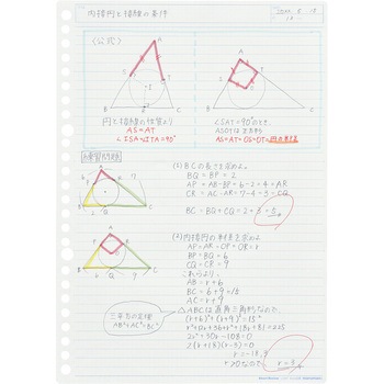 書きやすいルーズリーフ スマートレビュー マルマン
