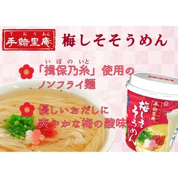 手緒里庵 梅しそそうめん 1箱(31g×36個) ヤマダイ(ニュータッチ) 【通販モノタロウ】