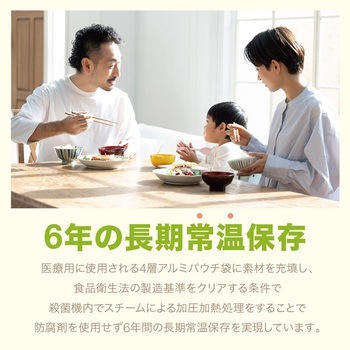 トライキッチン そのままおいしい ハンバーグ 1食分 100g 常温保存6年 非常食 保存食 常備食 防災食 新含気製法 レトルトパウチ食品 トライキッチン