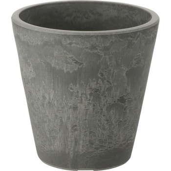 - {^j[ Eh|bg Richell(b`F) 53453786