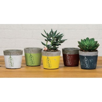 HT6550 vc|bg GC`c[I[ 53454179