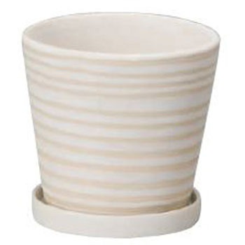 H1257 pXezx GC`c[I[ 53454197