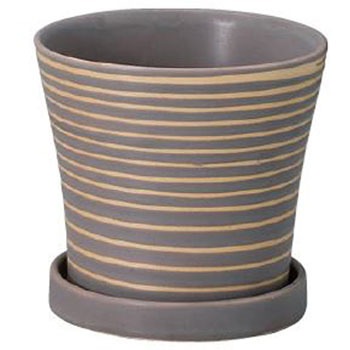 H1263 pXezx GC`c[I[ 53454249