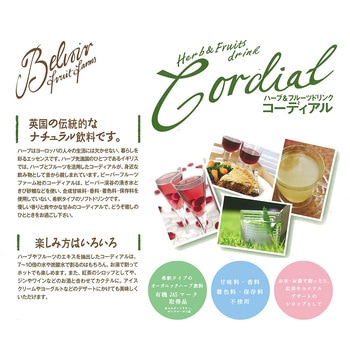 ユウキ食品 有機コーディアルエルダーフラワー 500mL - ユウキ食品