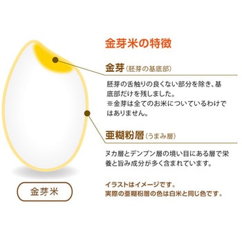 東洋ライス タニタ食堂の金芽米ごはん 160gX3 東洋ライス