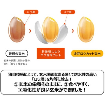 東洋ライス 金芽ロウカット玄米ごはん 150gX3 東洋ライス