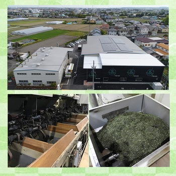 大井川茶園 茶工場自慢の知覧茶 150g 大井川茶園