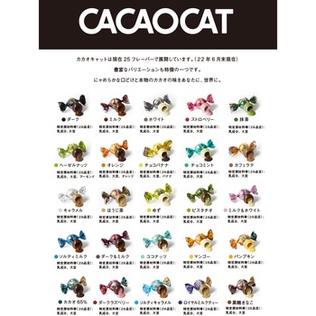 DADACA CACAOCAT缶ミックスシルバー DADACA