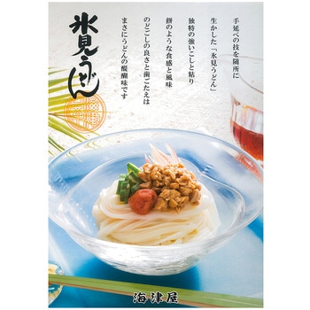 海津屋 氷見うどん 細麺 国内産小麦100%使用 200g 海津屋