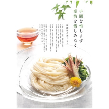 海津屋 氷見うどん 細麺 国内産小麦100%使用 8本入 1600g 海津屋