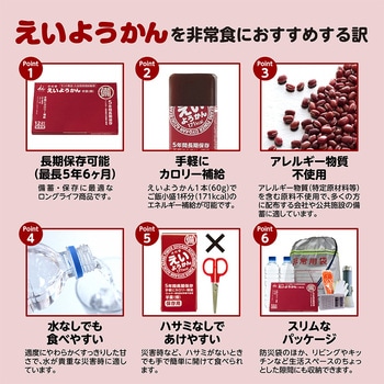 井村屋 12本入えいようかん 720g(60g×12本) 井村屋