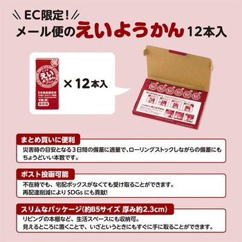 井村屋 12本入えいようかん 720g(60g×12本) 井村屋