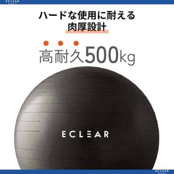 バランスボール アンチバースト 筋トレ 体幹トレーニング ダイエット 専用ポンプ付き 耐荷重500kg エレコム エクササイズ用品 【通販モノタロウ】