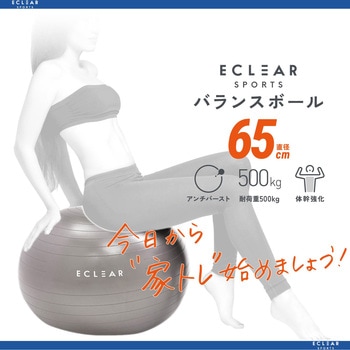 バランスボール アンチバースト 筋トレ 体幹トレーニング ダイエット 専用ポンプ付き 耐荷重500kg エレコム