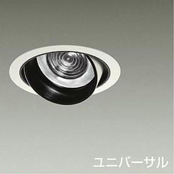 ダウンライト/ユニバーサル/CDM-T70W相当 LZ3C/NIGIWAI Φ125 1/2照度角17° DAIKO(大光電機)