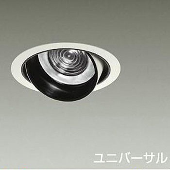 ダウンライト/ユニバーサル/CDM-T70W相当 LZ3C/NIGIWAI Φ125 1/2照度角30° DAIKO(大光電機)