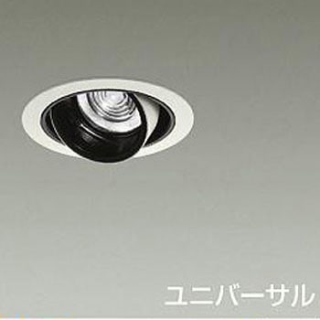 ダウンライト/ユニバーサル/Φ50 JDR 75W形65W相当 LZ0.5C/NIGIWAI Φ85 1/2照度角30° - DAIKO(大光電機)