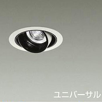 ダウンライト/ユニバーサル/Φ50 JDR 75W形65W相当 LZ0.5C/NIGIWAI Φ85 1/2照度角30° - DAIKO(大光電機)