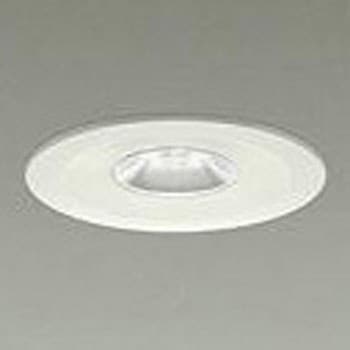 LZD-93116AWM _ECg/fBXvC/35 12V JDR 20W/Shookei50 sz[ 1/2Ɠxp20 DAIKO(d@) 53496837