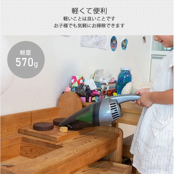 Wet&Dry 乾湿両用 充電式ハンディクリーナー 太知ホールディングス