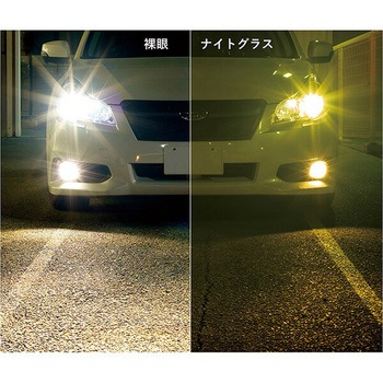 夜間用グラス サングラス BUNNY WALK(バニーウォーク)