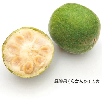 フォワード ラカント業務用液状甘味料 1L SARAYA(サラヤ)