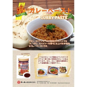 テーオーカレーペースト450g テーオー食品