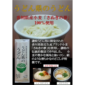 讃岐物産 うどん県のうどん 300g 讃岐物産