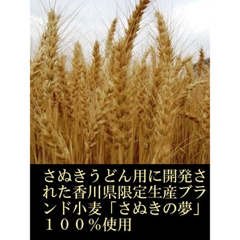 讃岐物産 うどん県のうどん 300g 讃岐物産