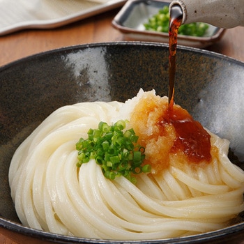 讃岐物産 うどん県のうどん 300g 讃岐物産