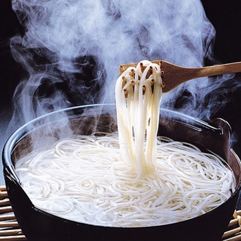 長崎五島うどん 五島手延うどん(国産小麦)と飛魚だしつゆ(煮出し用)詰合せ (うどん200g×5 つゆ10g×5×2) 長崎五島