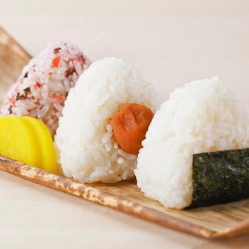 中田食品 紀州南高梅 梅なでしこ 500g 中田食品