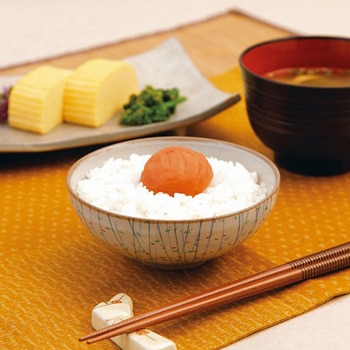 中田食品 紀州南高梅 梅なでしこ 500g 中田食品